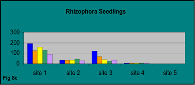bar graph showing total number of established Rhizophora seedlings