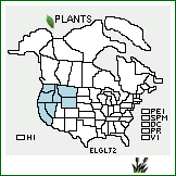 Distribution of Elymus glaucus Buckley ssp. jepsonii (Burtt Davy) Gould. . 