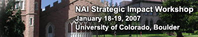 NAI Strategic Impact Workshop