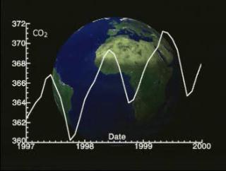 SeaWifs 3 year data of the pulse of the planet,
helps show the Carbon Build up in the air.  For this presentation
the Scientist wanted to show how the earth reacts to the chemicals
in the air.