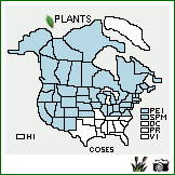 Distribution of Cornus sericea L. ssp. sericea. . Image Available. 