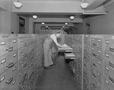 Commerce employee in research files. 1920