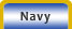 Navy Resources