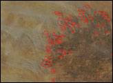 Thumbnail of Fire in the Kalahari