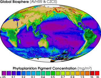 Map of Global Biosphere (AVHRR & CZCS)
