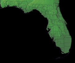 Topographic Map of Florida