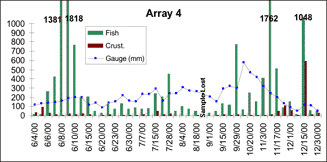 graph of numbers of fish and crustaceans with gauge height, June through December 2000, at Array 4