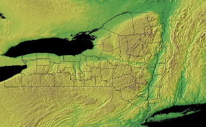 Topographic Map of New York