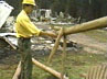Jack Cohen showing the selective damage to a wooden bench swing near a destroyed home.