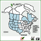 Distribution of Ribes aureum Pursh var. aureum. . Image Available. 