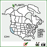 Distribution of Ribes aureum Pursh var. gracillimum (Coville & Britton) Jeps.. . Image Available. 