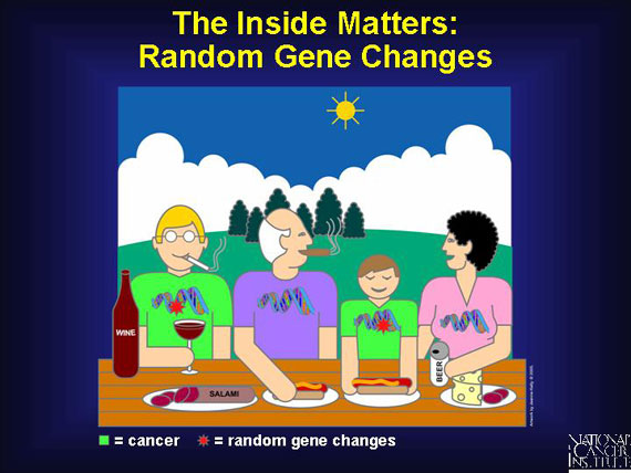 The Inside Matters: Random Gene Changes