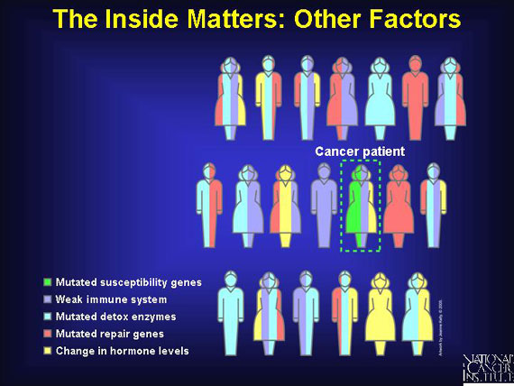The Inside Matters: Other Factors