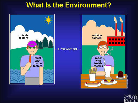 What Is the Environment?