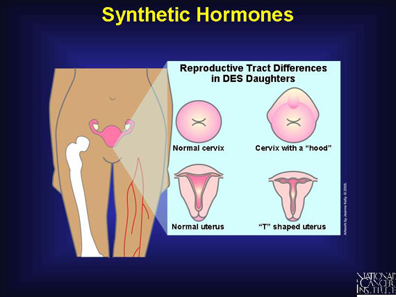 Synthetic Hormones