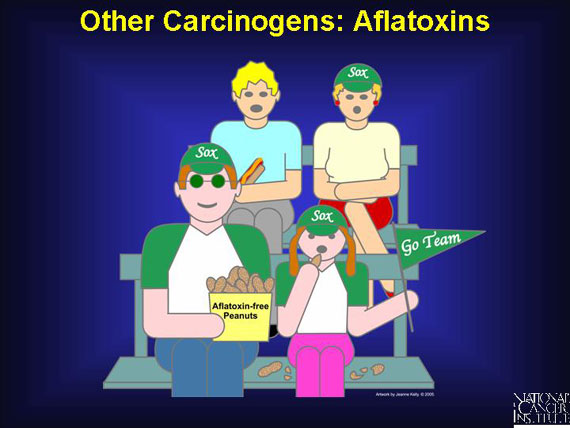 Other Carcinogens: Aflatoxins
