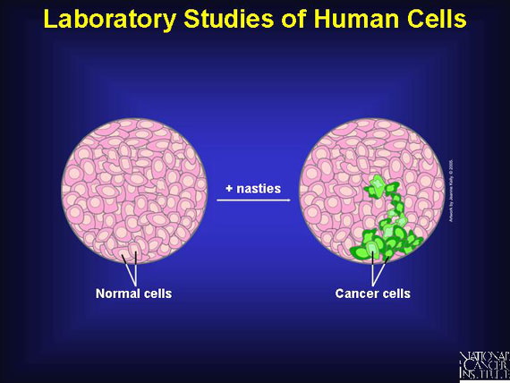 Laboratory Studies of Human Cells