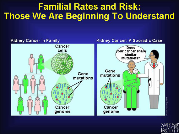 Familial Rates and Risk: Those We Are Beginning To Understand