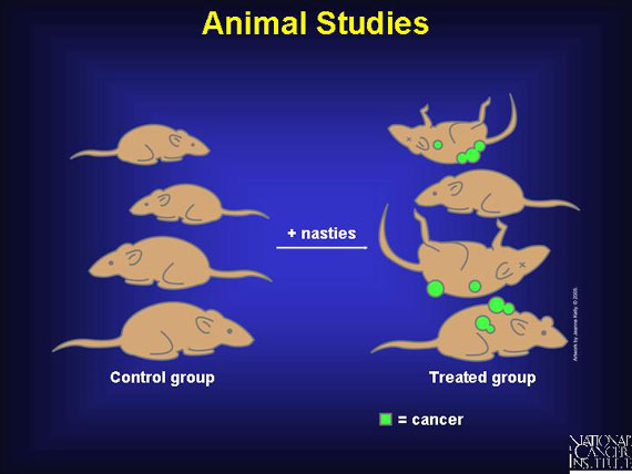 Animal Studies