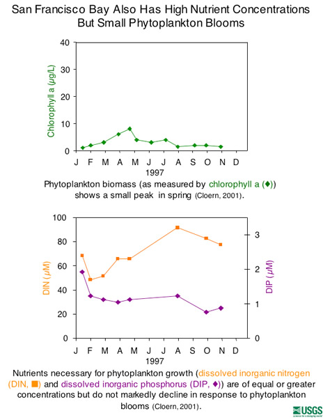 San Francisco Bay Also Has High Nutrient Concentrations But Small Phytoplankton Blooms