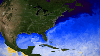 High definition version of sea surface temperature in the Gulf of Mexico and the Atlantic on 2008-02-01.