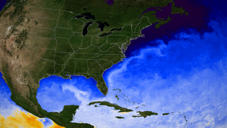 High definition version of sea surface temperature in the Gulf of Mexico and the Atlantic on 2008-03-01.