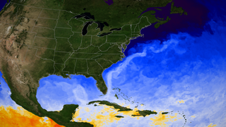 High definition version of sea surface temperature in the Gulf of Mexico and the Atlantic on 2008-05-01.