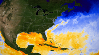 High definition version of sea surface temperature in the Gulf of Mexico and the Atlantic on 2008-07-01.