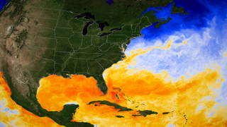 High definition version of sea surface temperature in the Gulf of Mexico and the Atlantic on 2008-08-01.
