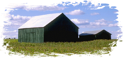 Picture of a rural setting with a barn in a field.