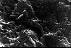 Mars Life? - Microscopic Tubular Structures