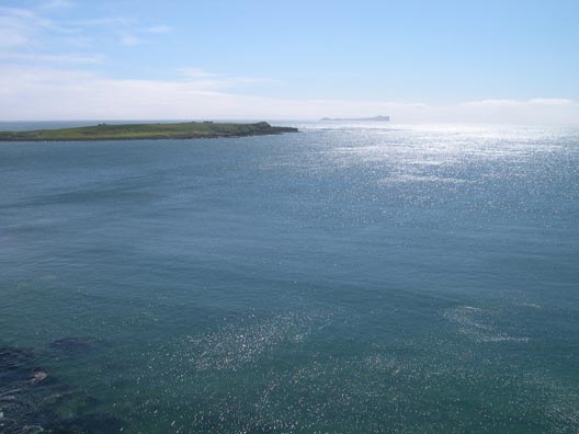 The green grass of Reef Point stands out against the blue Bering Sea on a bright day.  Otter Island rises up out of the ocean in the background.