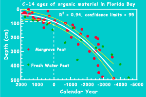 C-14 ages of organic material in Florida Bay