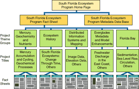 flow chart illustrating the organization of the South Florida Ecosystem Program web site, database, and fact sheets