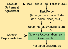 diagram of science development for the restoration of south Florida