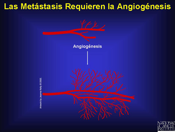 Las Metástasis Requieren la Angiogénesis