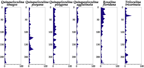 diagrams showing foraminifers percent abundance in core