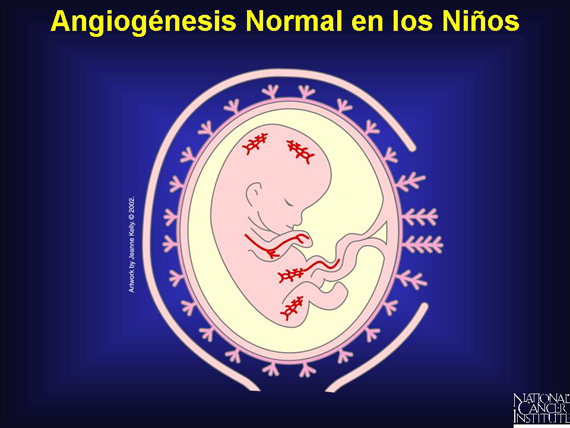 Angiogénesis Normal en los Niños