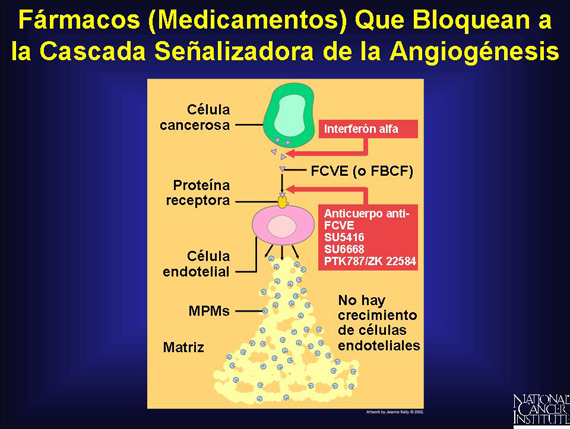 Fármacos (Medicamentos) Que Bloquean a la Cascada Señalizadora de la Angiogénesis