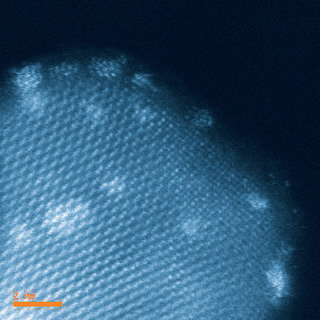 Aberration-corrected scanning transmission electron microscopy reveals details of nanoparticles 1-2 nanometers wide, which appear as bright blobs adhered to a titania support, shown in gray.