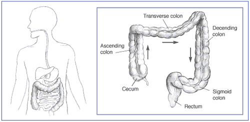 Anatomic Problems of the Colon