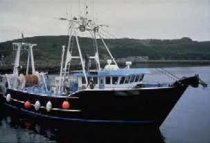 photo of domestic fishing vessel