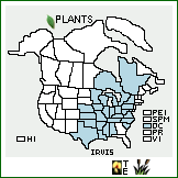 Distribution of Iris virginica L. var. shrevei (Small) E.S. Anderson. . 