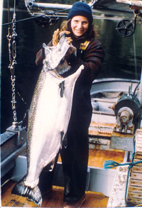 Alaskan troller displaying an adipose-clipped chinook salmon
