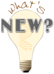 What's New? light bulb
