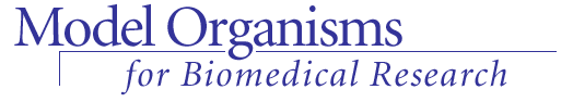 Model Organisms for Biomedical Research