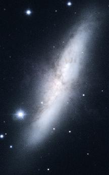 M82