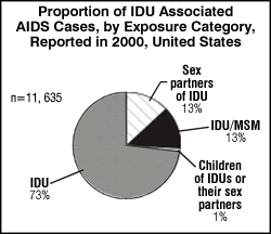 Proportion of IDU Associated AIDS Cases, by Exposure Category, Reported in 2000, United States
n = 11,635

IDU: 73%
Sex partners of IDU: 13%
IDU/MSM: 13%
Children of IDUs or their sex partners: 1%