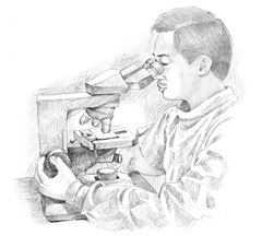 Imagen de un médico examinando una muestra de orina para encontrar prostatitis bacteriana.