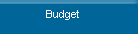  navigation to Budget